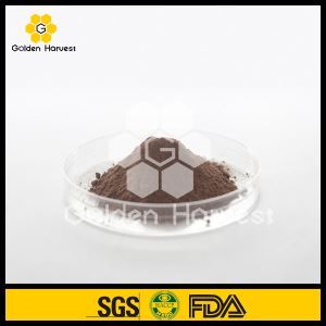 Poudre d'extrait de propolis