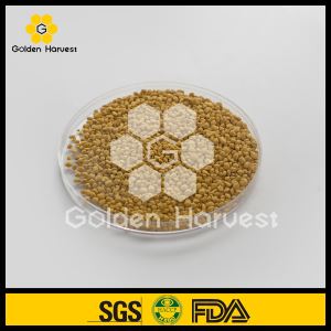 Pollen d'abeille de viol de 100%, pollen pur d'abeille de fleur de viol