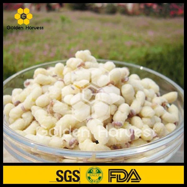 Pupa drone lyophilisé